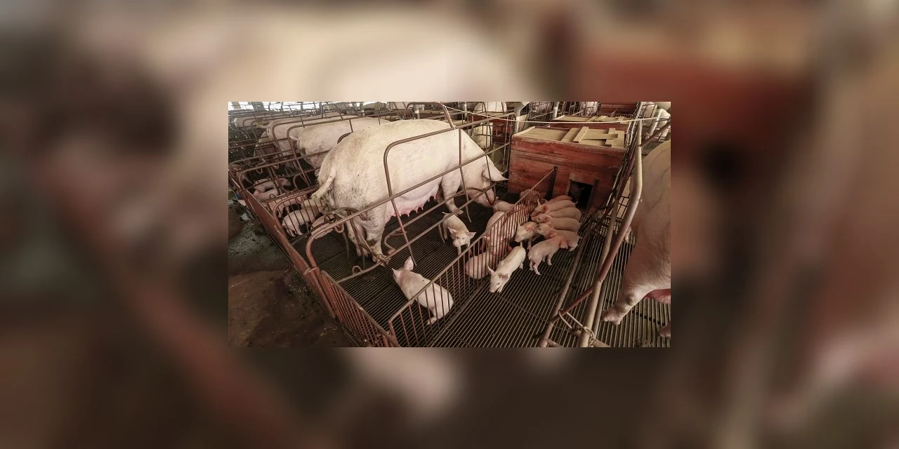 Palestras explicam mudanças no "Programa Descomplica Rural"