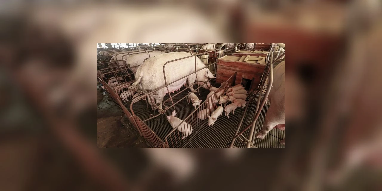 Interior terá rodada de palestras sobre o Descomplica Rural