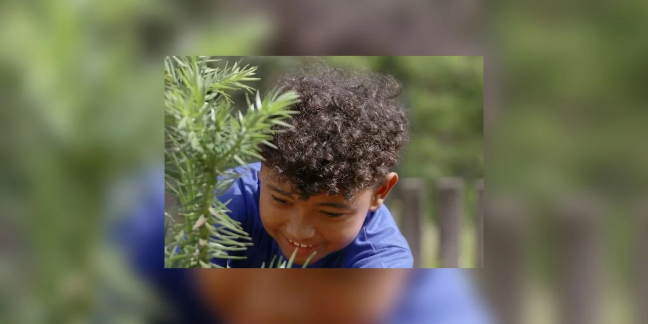Alunos do CAIC plantam mudas de araucária em comemoração ao aniversário da UEPG