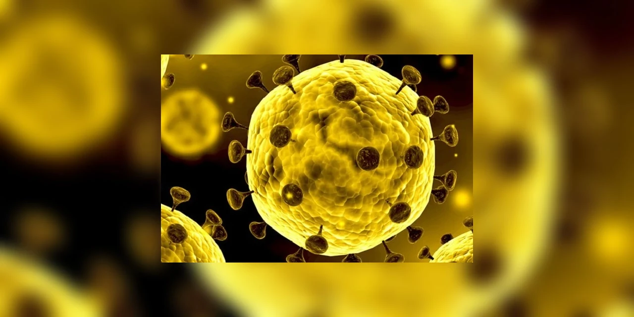 Conheça a situação dos cinco casos suspeitos de coronavírus no Paraná