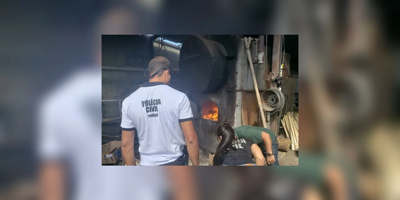 Polícia Civil incinera 265 quilos de drogas apreendidas no Litoral
