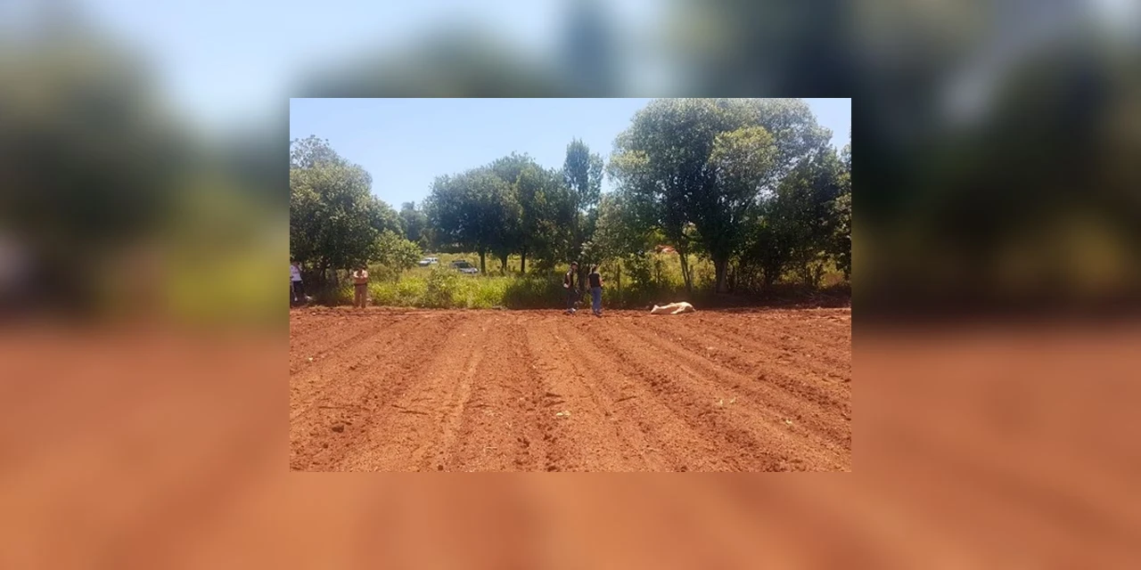 Após corpo ser encontrado no Ouro Verde, Polícia identifica principal suspeito do crime