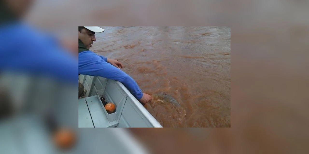 Pesca de espécies nativas já está liberada