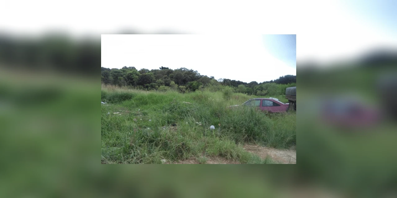 Força-tarefa de Castro fiscaliza passeios e terrenos baldios