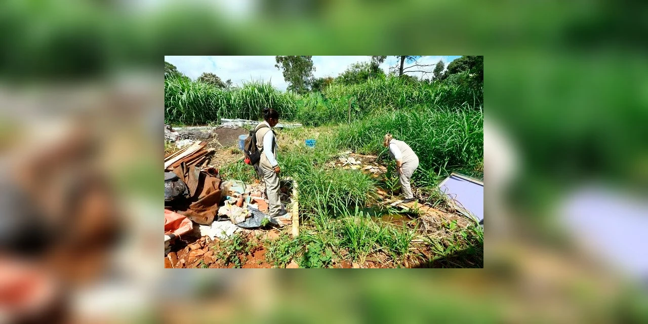 Números já enquadram Paraná em uma epidemia de dengue