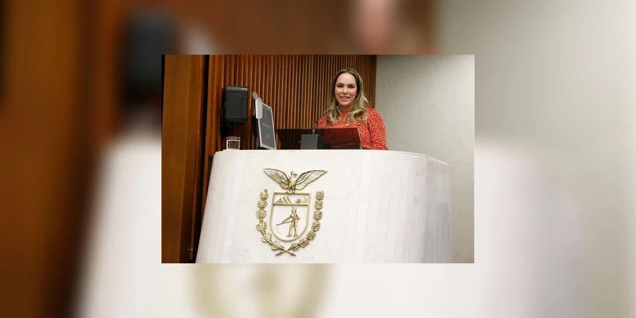 Deputada propõe Código de Defesa do Consumidor exclusivo para o Paraná