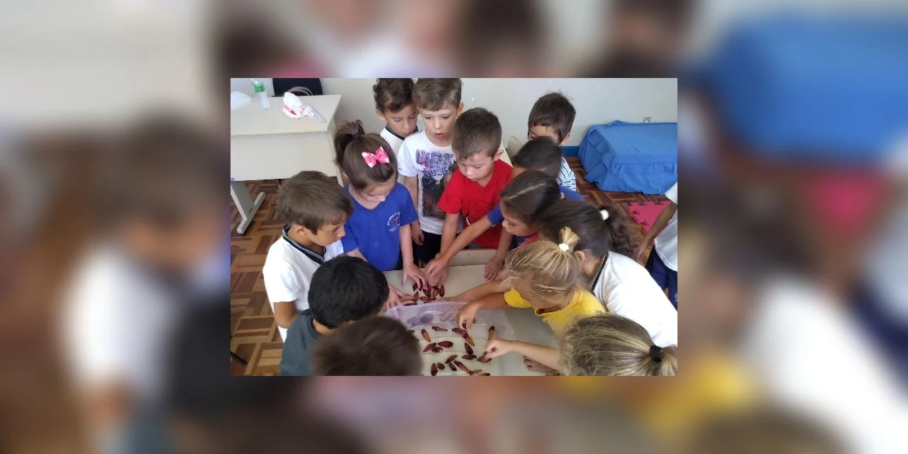 Educadora de Castro concorre ao prêmio "Professor Transformador" com projeto de preservação ambiental