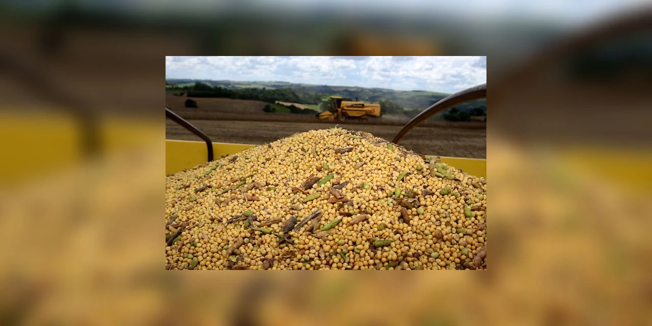 Valor Bruto da Produção Agropecuária do Paraná de 2019 pode ter um ganho de 3,4 %