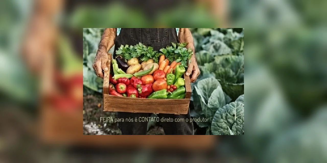 Preparo de risotos e alimentação infantil estão entre os assuntos de evento promovido pela Chácara Maria Emília