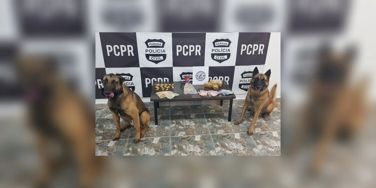 Apreensão de drogas feitas pela Polícia Civil aumentam em 14%