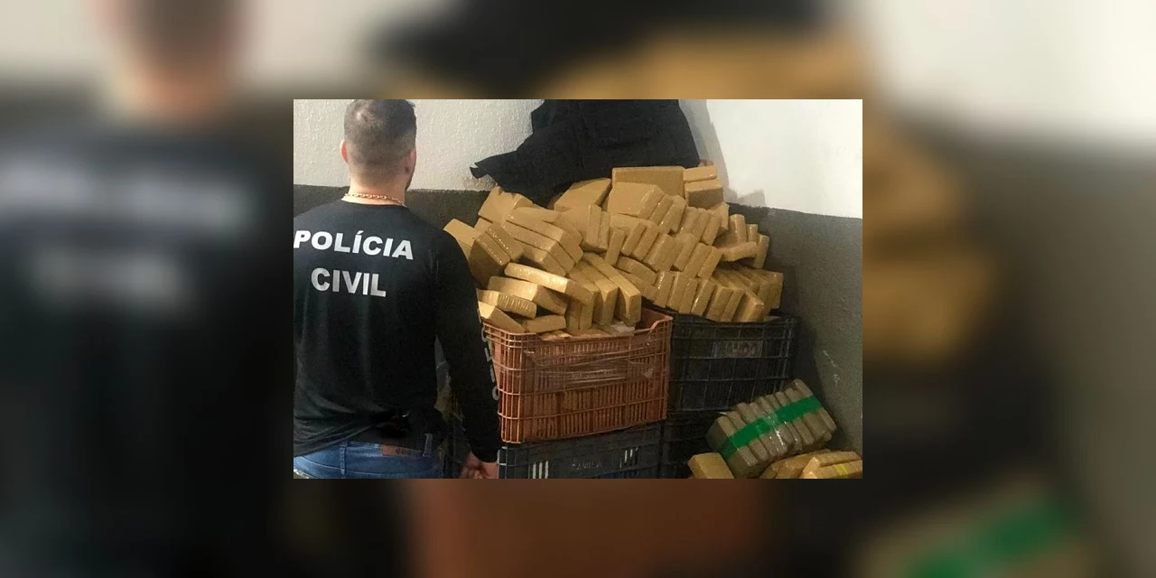 Polícia Civil apreendeu 14% a mais de drogas em 2019