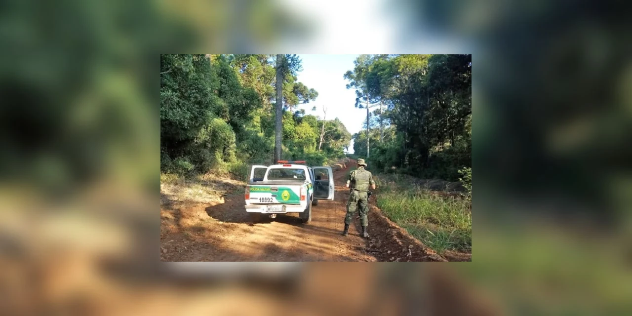Polícia Ambiental apreende suspeito de caça ilegal em Teixeira Soares