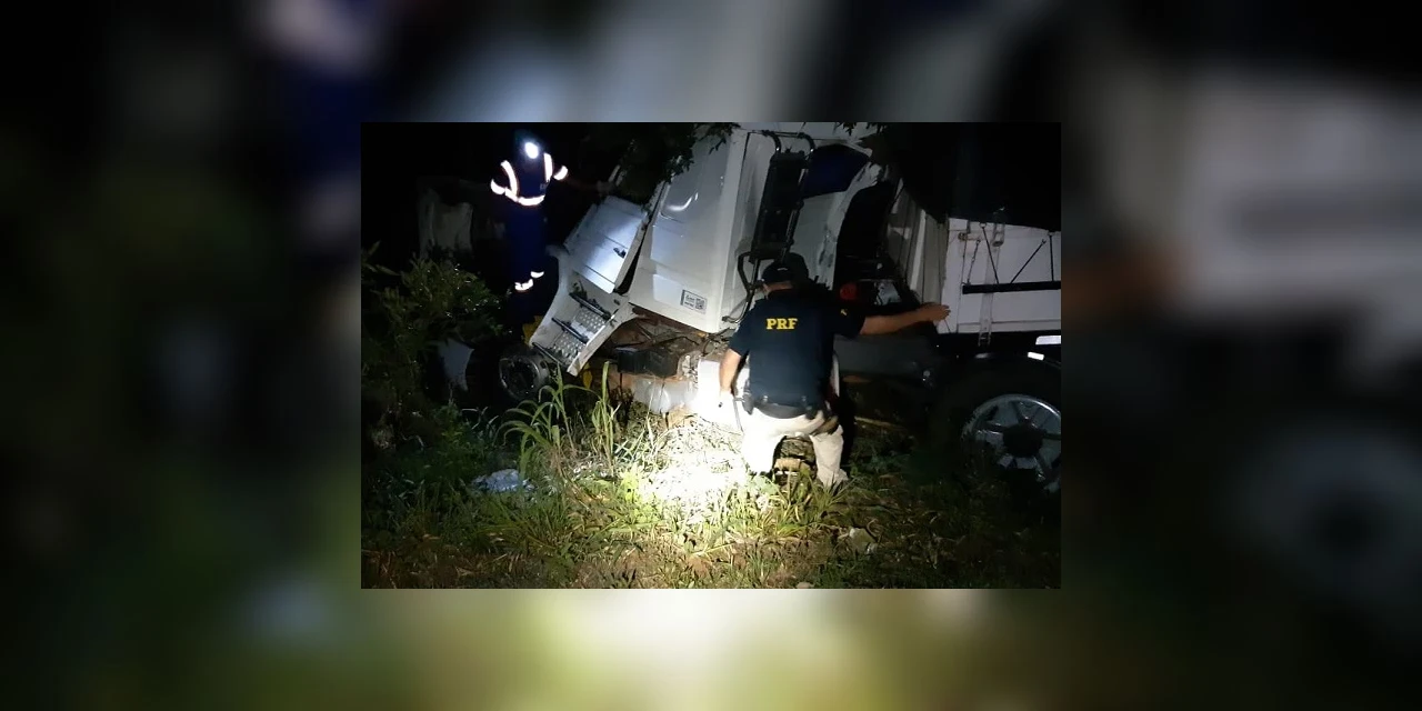 Caminhoneiro sai da pista e colide contra árvore em Imbituva