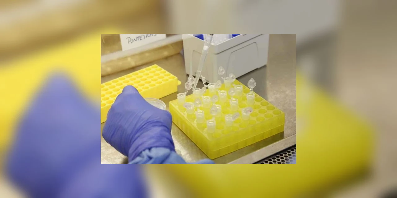 "Primeira vacina contra o coronavírus é testada em adultos", afirma empresa farmacêutica