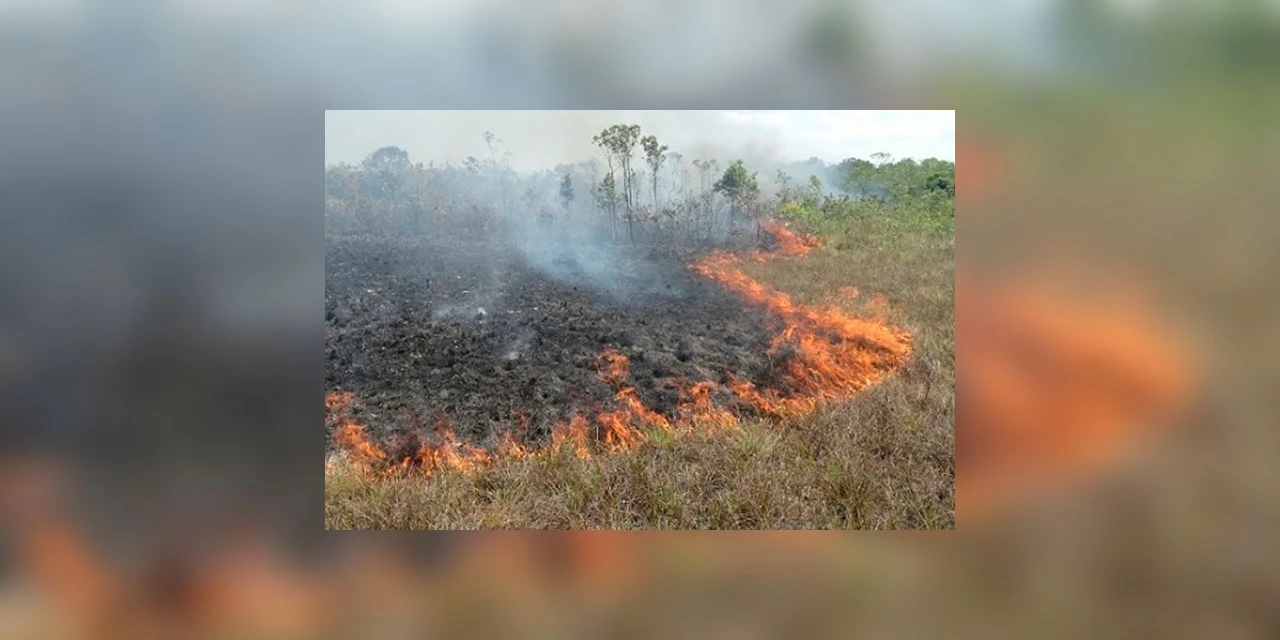 Ponta Grossa registra 30 incêndios ambientais no ano de 2020