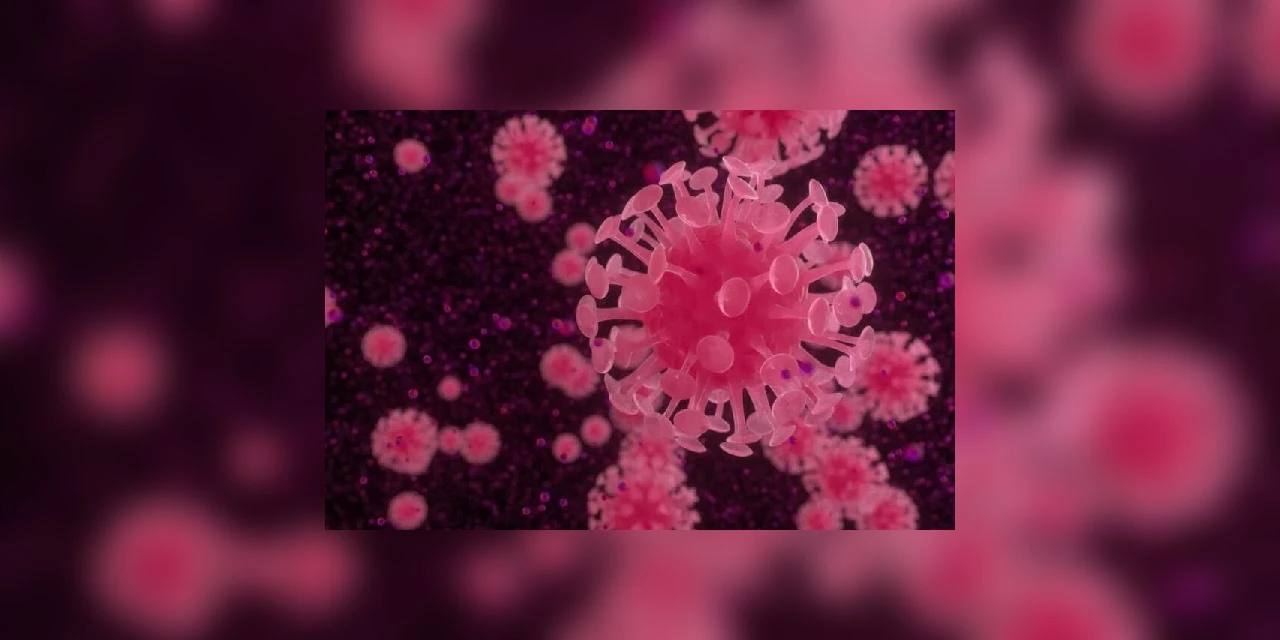 Ministério da Saúde confirma 1.891 casos de coronavírus e 34 mortes no Brasil (23/03)