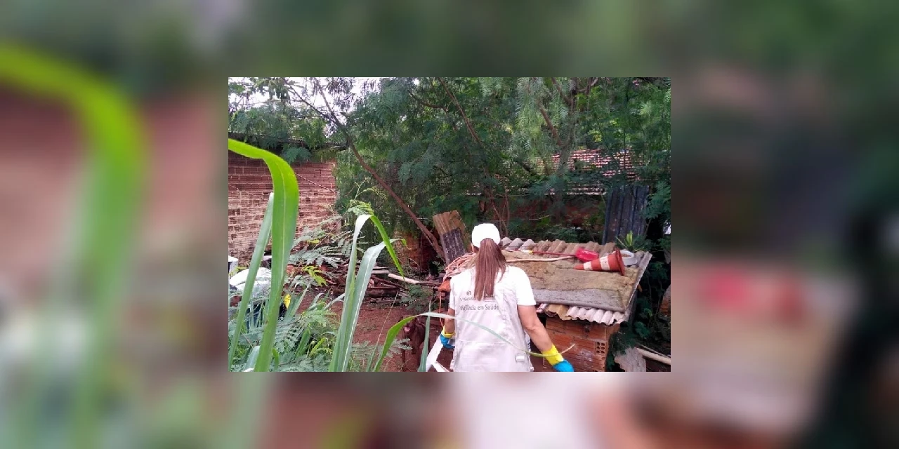 Paraná registra 11 mil novos casos e 8 mortes por dengue na última semana