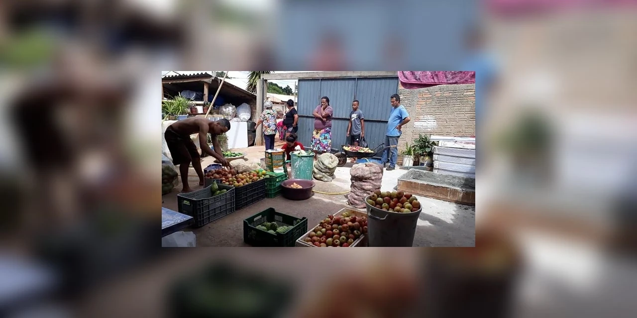 Rangel anuncia aplicativo para venda delivery de frutas e verduras produzidas por feirantes de PG