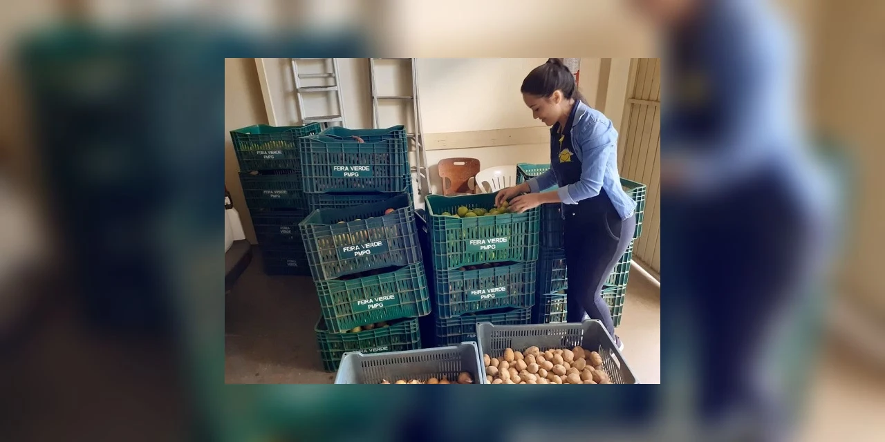 2,5 toneladas de alimentos do Feira Verde serão entregues para ONGs