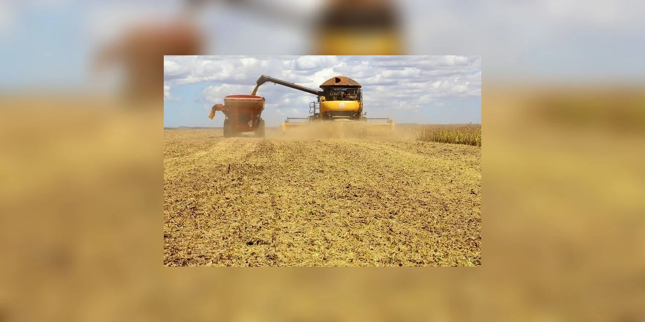Produção de grãos do Paraná será 14% maior em 2020 do que no ano anterior