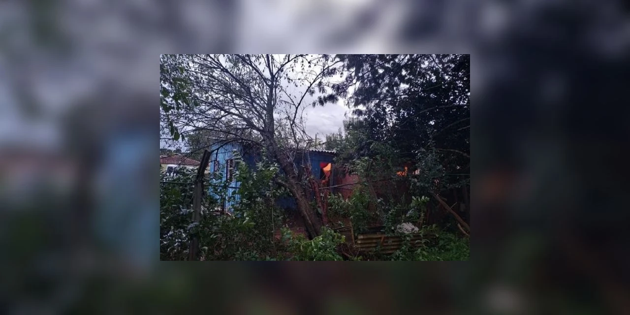Defesa Civil de Ponta Grossa atende diversas chamadas de emergência devido aos fortes ventos desta quinta-feira (02)