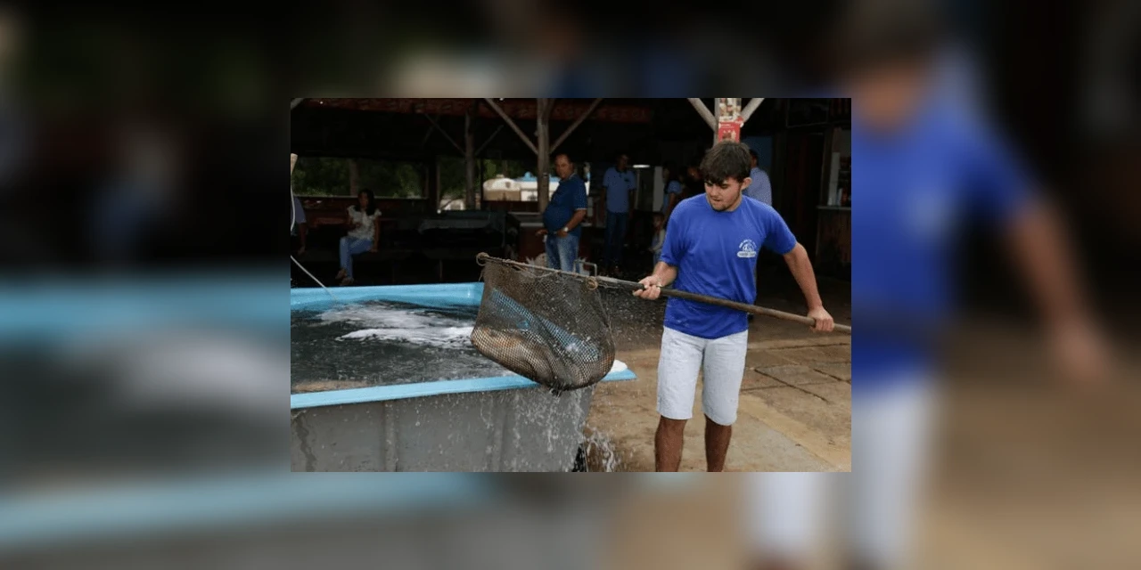 Venda de peixes estará disponível na Feira Digital a partir de segunda-feira (06)