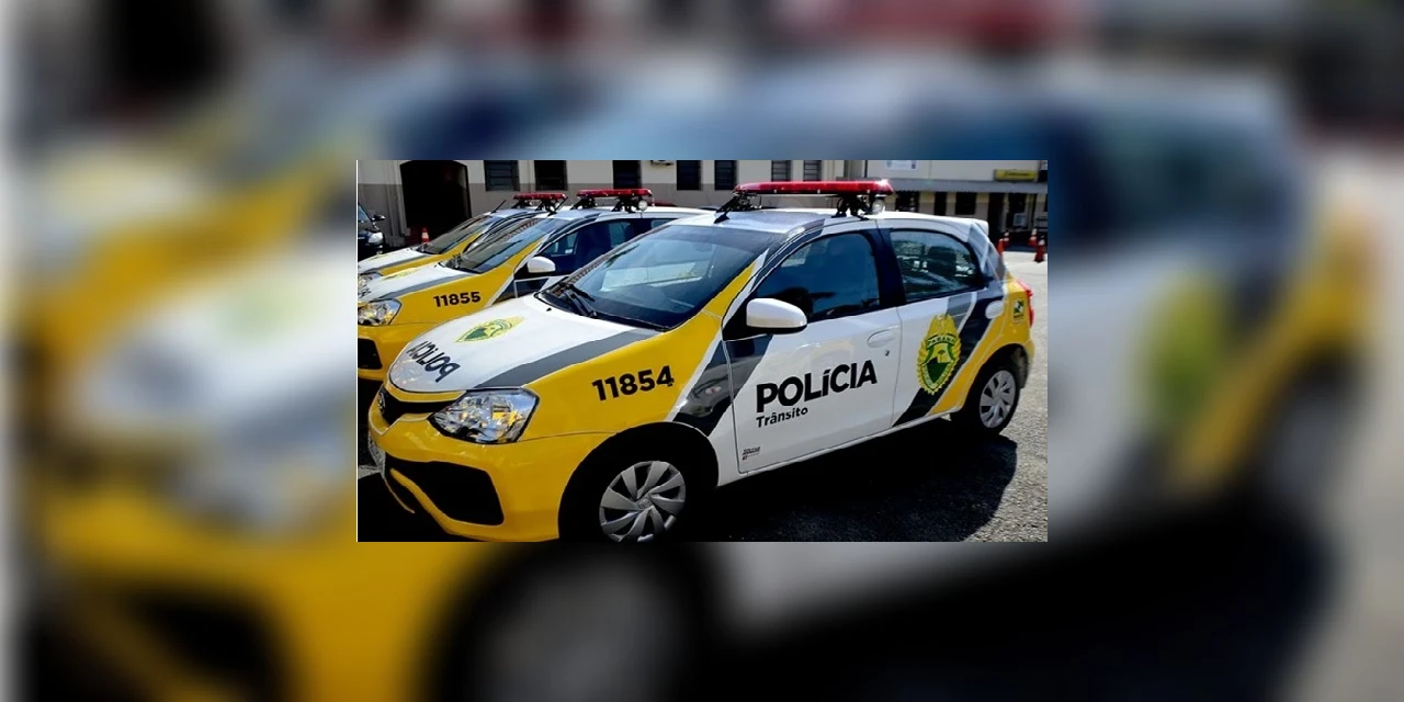 Homens são presos em PG vendendo na internet produtos furtados em comércio de Palmeira