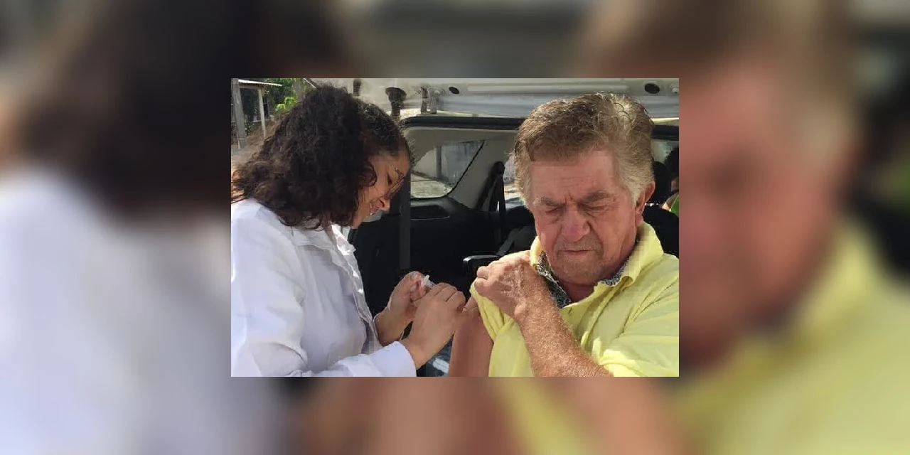 Palmeira imuniza 80% dos idosos contra a gripe