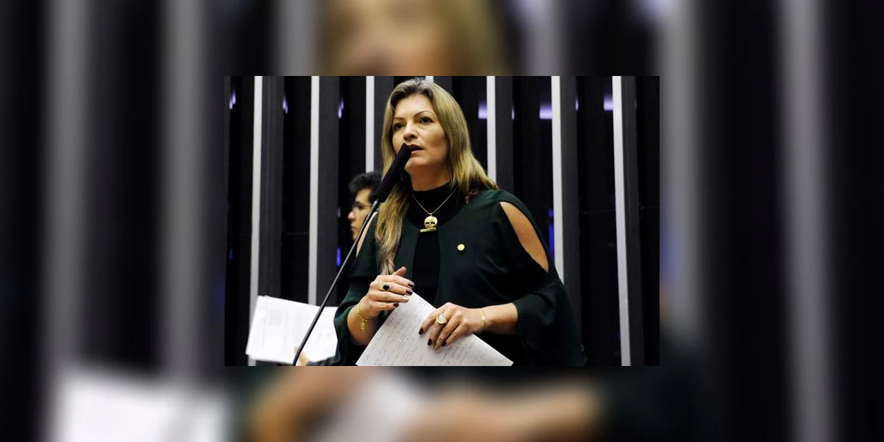 Deputada Aline Sleutjes participa de reunião com a diretoria da ACIPG