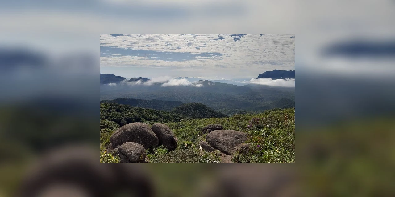 Unidades de conservação seguem fechadas para visitação do público