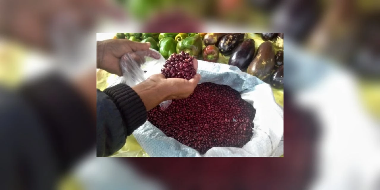 Acampamentos do MST doam 5 toneladas de alimentos para as cidades de Ponta Grossa e Castro