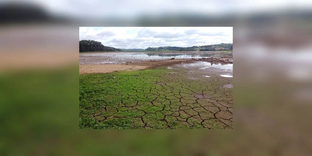 Ponta Grossa está entre as cidades do estado que tiveram seca mais severa dos últimos anos