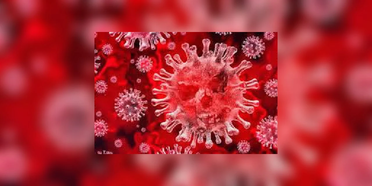Brasil registra 941 mortes desde início de pandemia de Covid-19