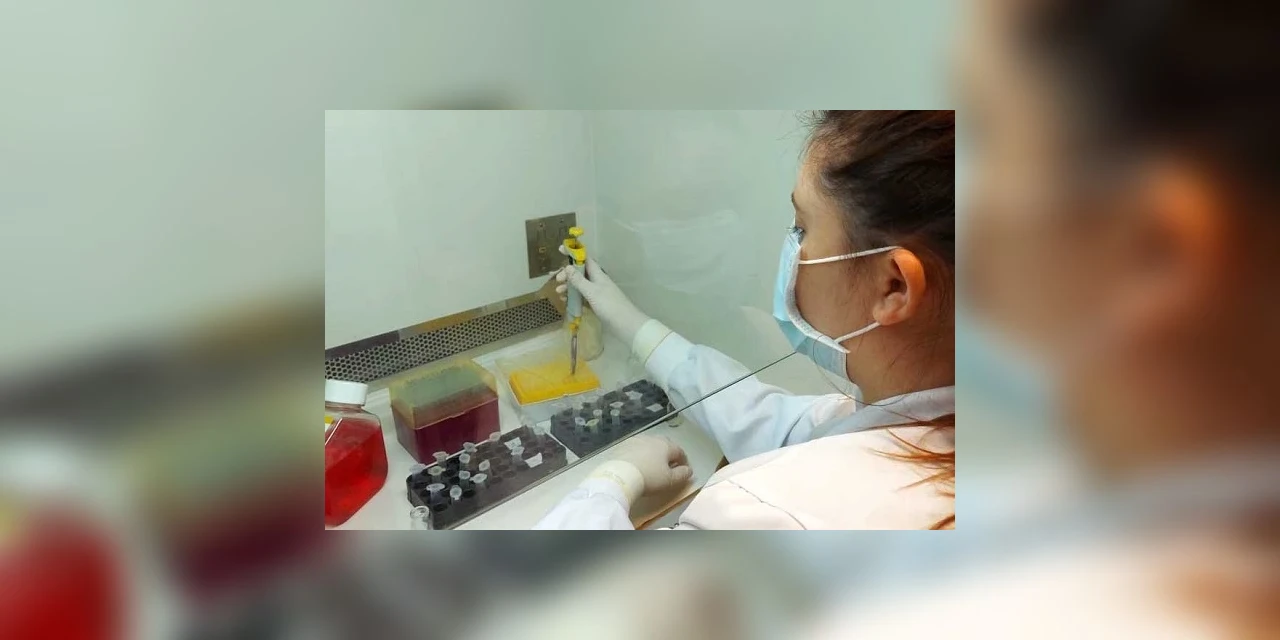 Fundação Araucária investe R$ 2 milhões em projetos científicos que auxiliem no combate ao Coronavírus