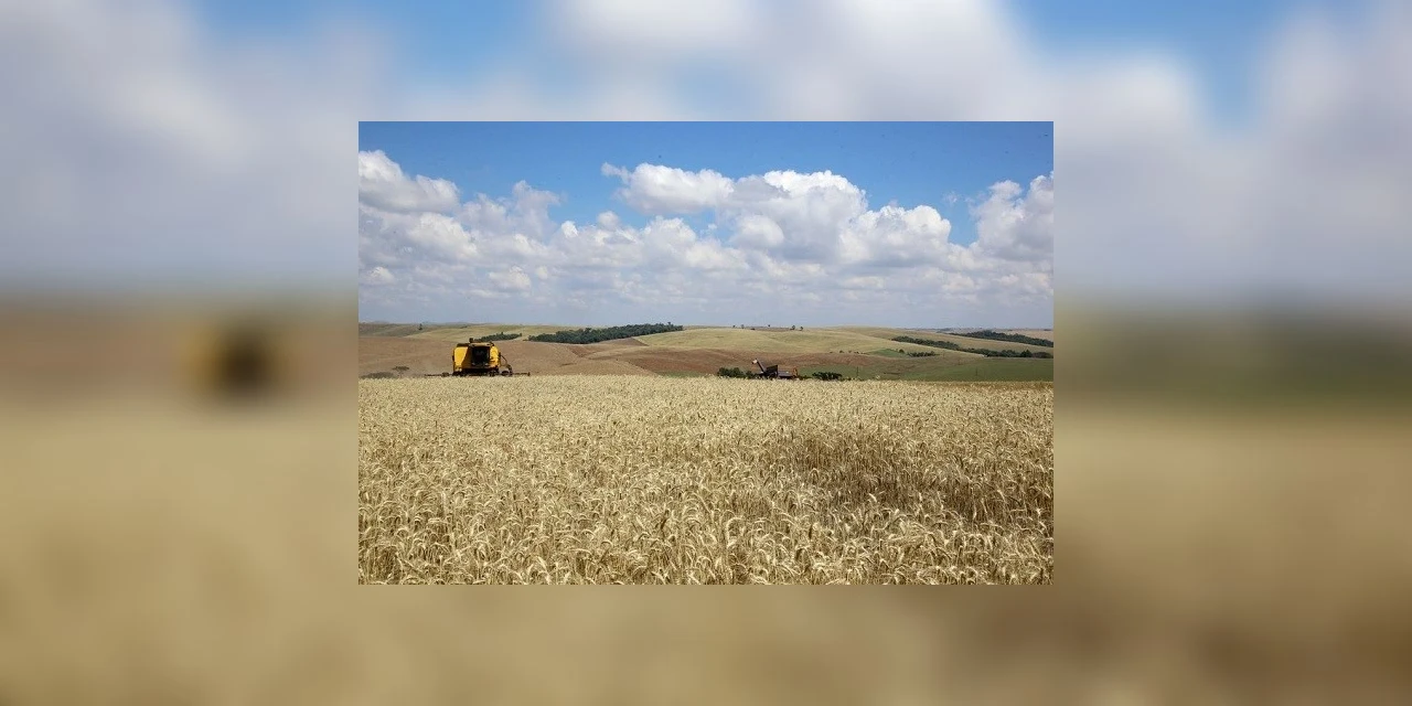 Instituto Rural do Estado passa a ser denominado IDR-Paraná