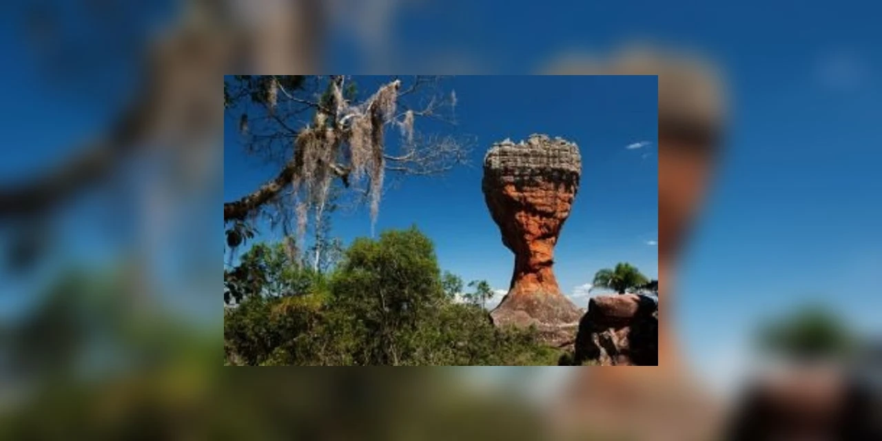 Museu Campos Gerais disponibiliza imagens de PG para colorir