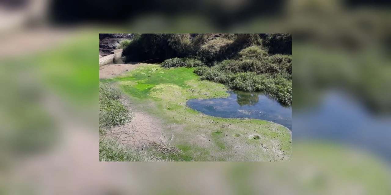 Palmeira terá rodízio no abastecimento de água