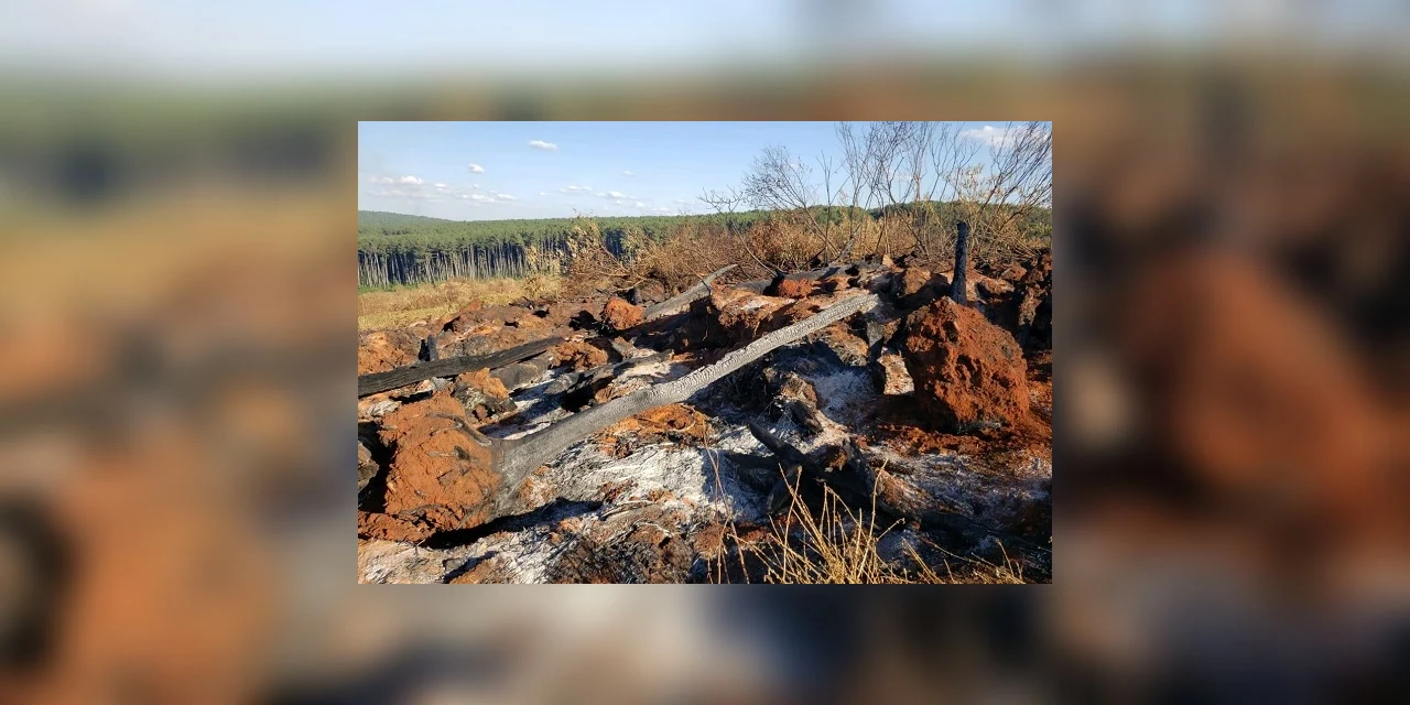 Multa milionária é aplicada por crime ambiental em Imbituva