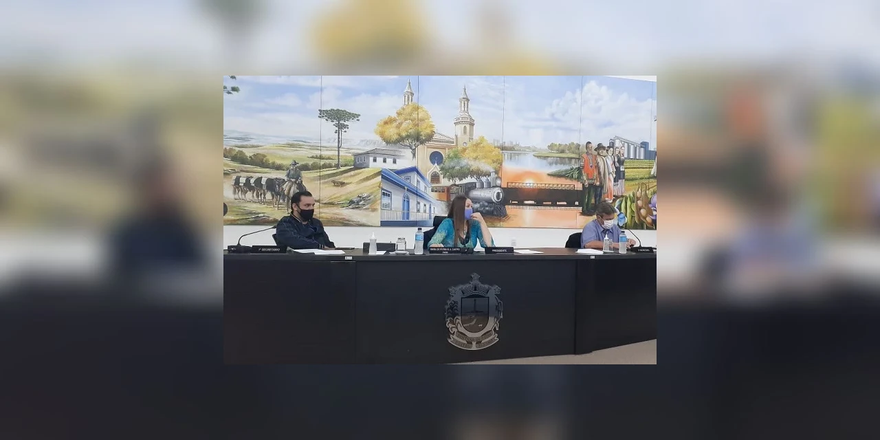 Câmara de Castro aprova a compra de alimentos para pessoas em situação de risco no município