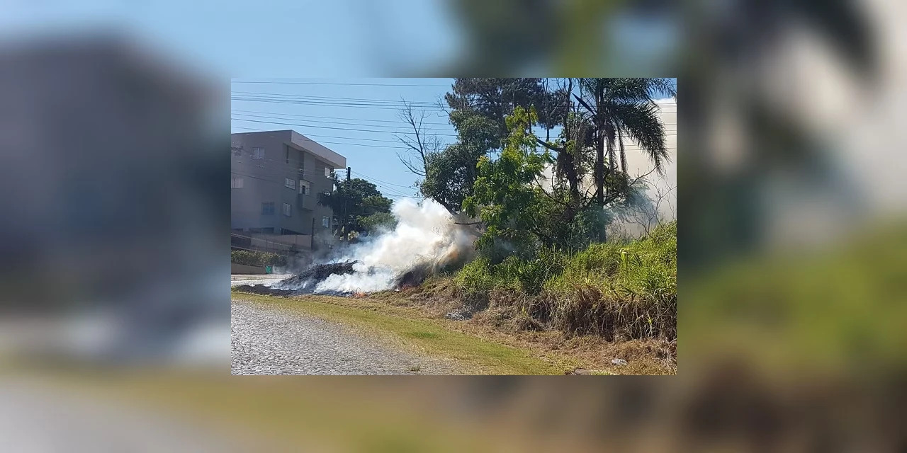 Vídeo: Incêndio atinge terreno na região do Jardim Carvalho