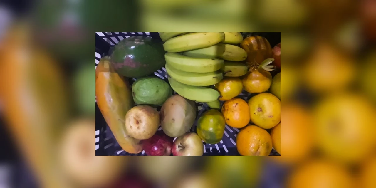 Alunos da rede municipal de Telêmaco Borba recebem kit de alimentos