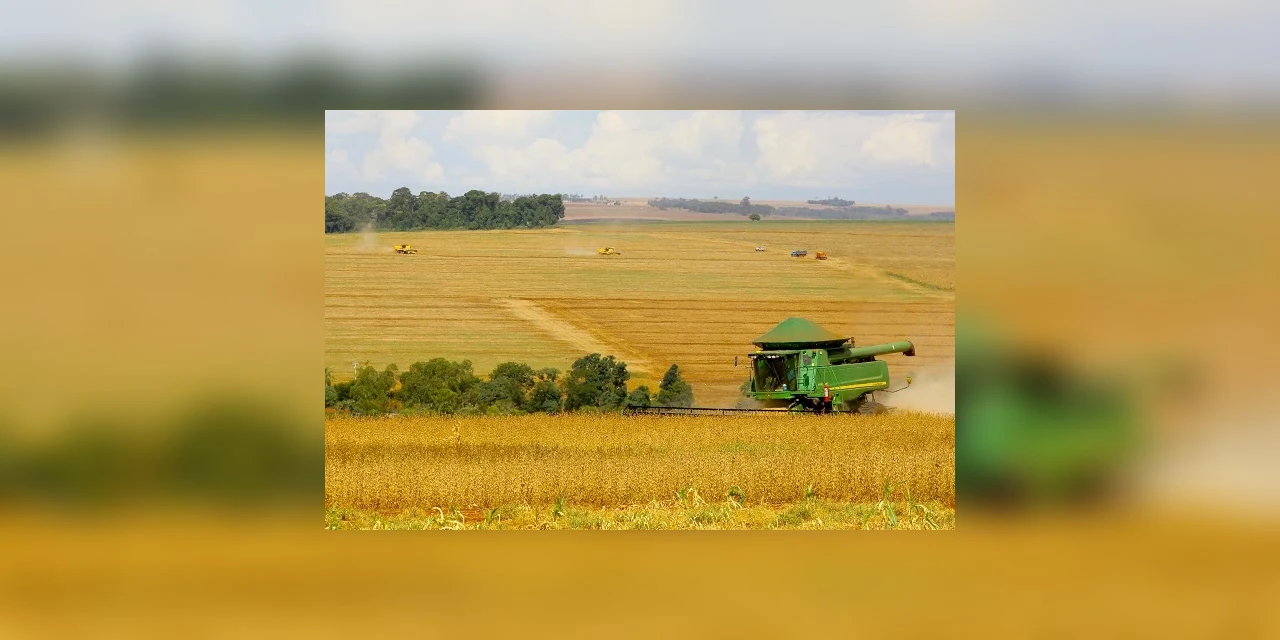 Produção agrícola do Paraná de 2020 deve superar os números de 2019, chegando a 41 milhões de toneladas