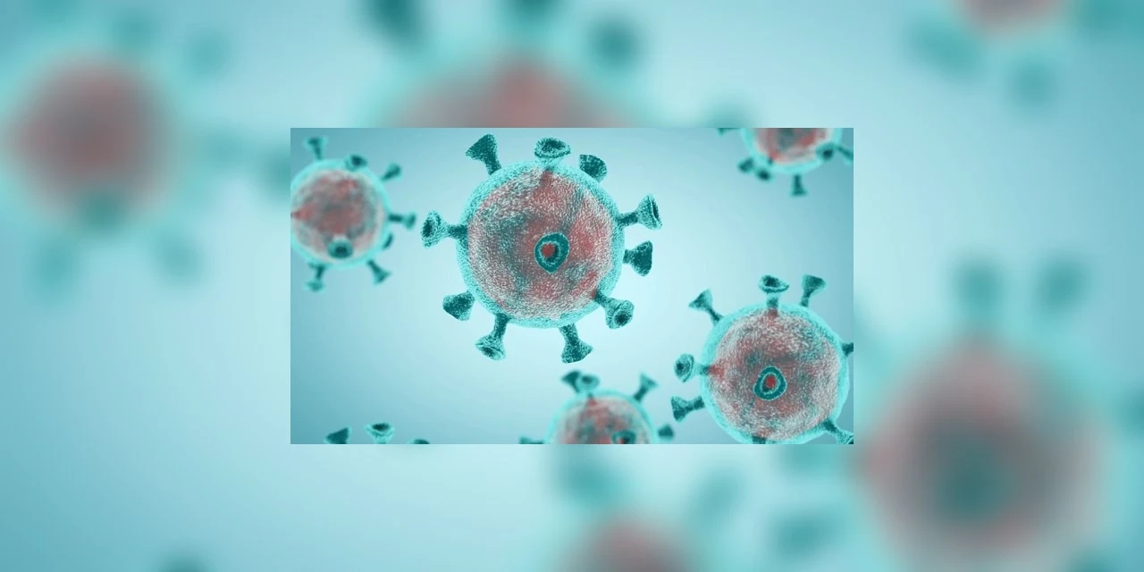 Coronavírus já é diagnosticado em pacientes de 133 cidades do Paraná; Conheça os números completos da Covid-19 no estado