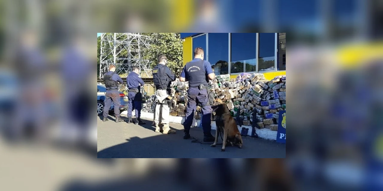 PRF e Guarda Municipal de Irati apreendem dois fuzis e 1,7 tonelada de maconha em caminhão