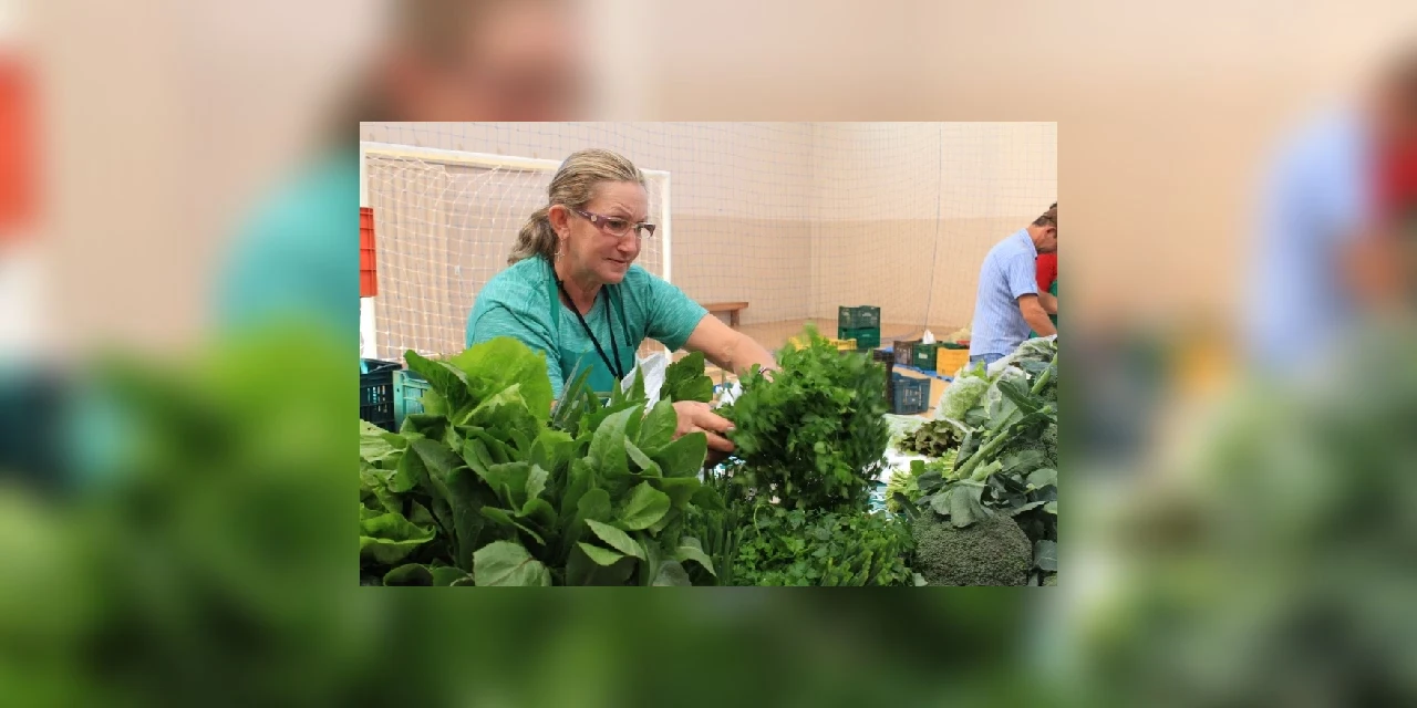 Feira do Produtor retorna hoje (5) em Guarapuava