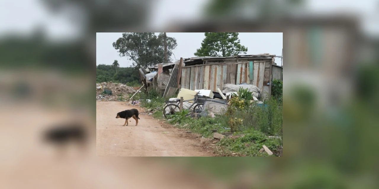 Mais de 5 milhões de paranaenses vivem com R$ 621 mensais, afirma IBGE