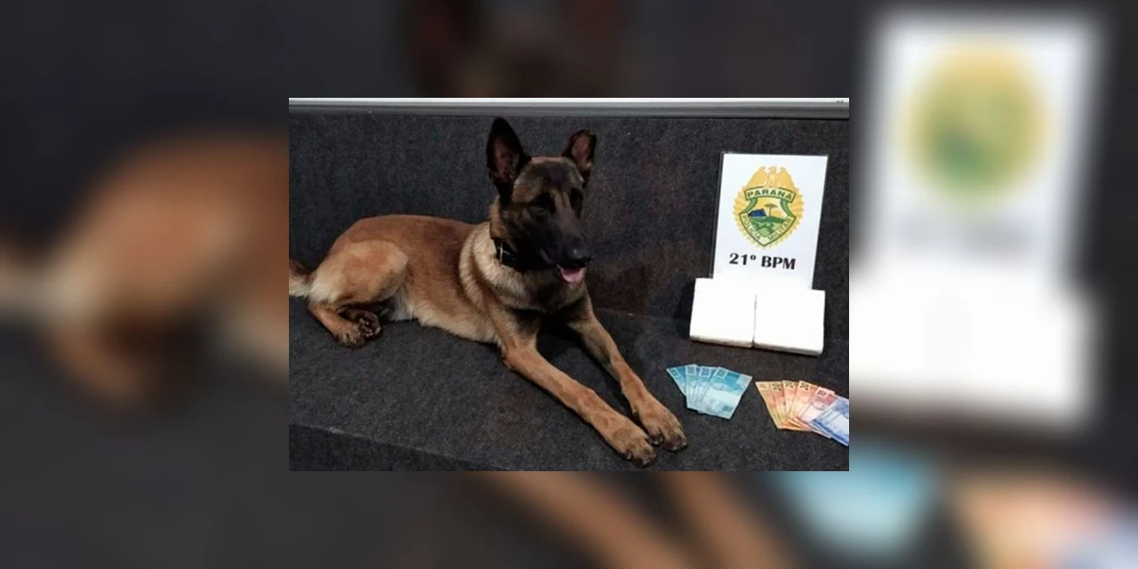 Policial militar é presa após ser flagrada com drogas por cachorro da corporação