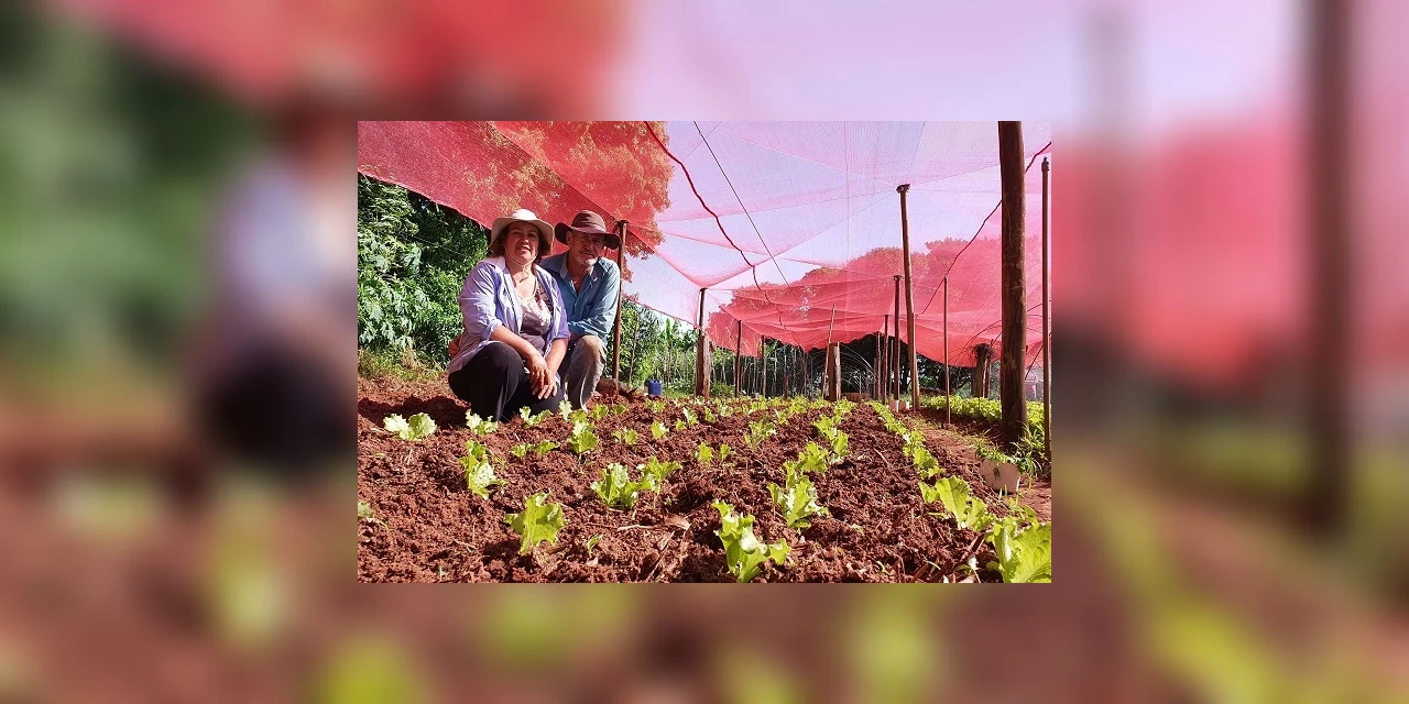 Contato de WhatsApp permite a agricultores familiares comunicarem perdas de alimentos