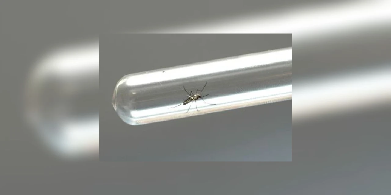 Ponta Grossa é o município com menor índice de dengue do Paraná