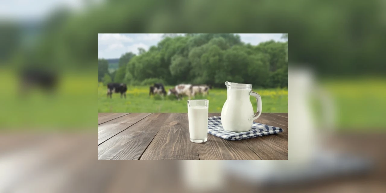 Cooperativas paranaenses registram crescimento de 9,5% na captação de leite